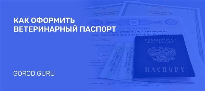 Где и в каком месте возможно осуществить процедуру регистрации ветеринарного паспорта?