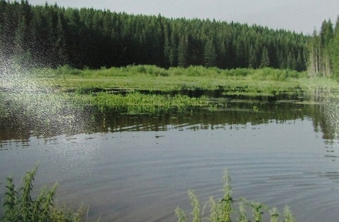 Маленькое водоемчик